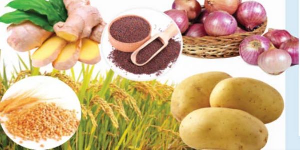 বাড়ছে আমদানিনির্ভর কৃষিপণ্যের উৎপাদন